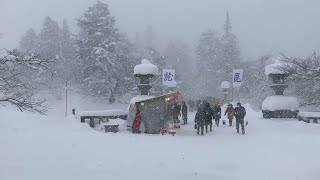 Uesugi Shrine on New Year's Day 2022 - Yonezawa, Japan