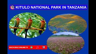 KITULO:First National Park In Tropical Africa To Be Established Primarily To Protect Its Flora.