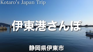 静岡さんぽ 伊豆伊東港さんぽ【静岡県伊東市】2023/6 漁港さんぽ