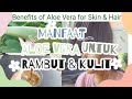 Manfaat Aloe Vera untuk kecantikan rambut & kulit