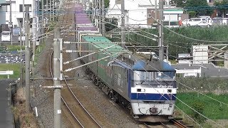 JR四国　予讃線　国分駅－端岡駅　特急「しまんと」2000系気動車　貨物列車　EF210電気機関車　桃太郎　コンテナ輸送