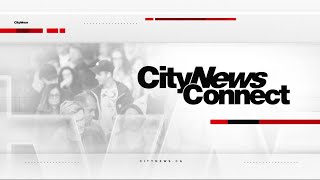 CityNews Connect: Zebra Mussels