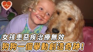 小女孩患惡疾生不如死，用盡所有治療方法都無效，直到這條狗狗出現……#動物 #奇跡 #情感 #感動 #狗狗 #news #love