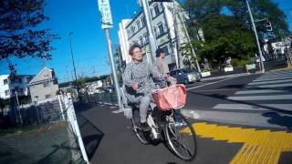 【車載映像】多摩湖周辺のサイクリング映像　多摩湖自転車道（多摩湖堰堤→関前）編　2017/05/04