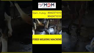 15 மாடுகளுக்கும்  மேல்  சுலபமாக பால் கறக்க உதவும் FIXED MILKING MACHINE