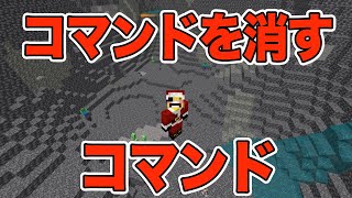 【マイクラ】暗視などの無限コマンドを消すコマンドの紹介 【マインクラフト/Switch/遊び方】