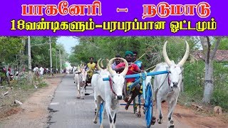 ETSS - பாகனேரி (நடுமாடு-15.07.2019)