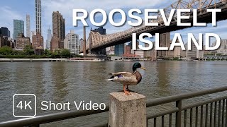 NEW YORK CITY Walking Tour [4K] ROOSEVELT ISLAND (Short Video)