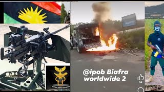 Reaction ~Situation Report From Biafra Land