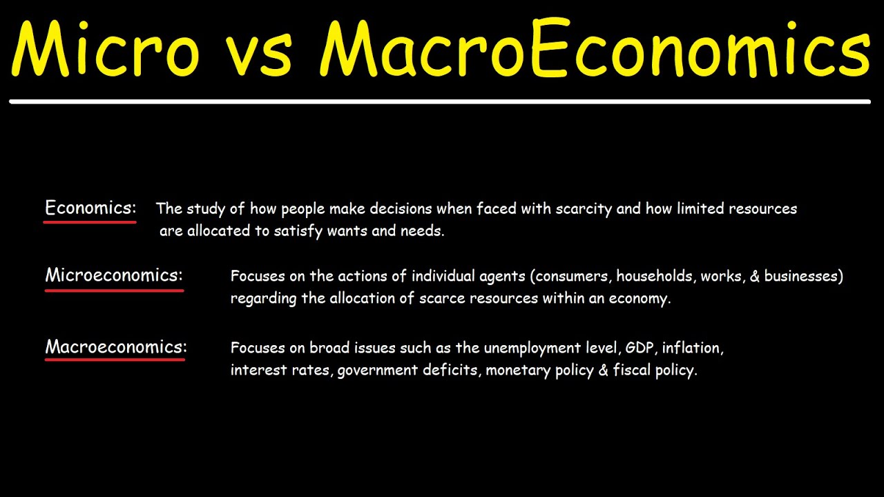 Microeconomics Vs Macroeconomics - YouTube