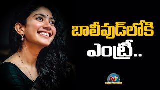 బాలీవుడ్ లోకి ఎంట్రీ.....సాయి పల్లవి || Box Office || Ntv ENT