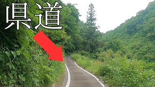 狭すぎませんか…?? でも立派な県道  [新潟県道78号大潟高柳線　尾神集落手前〜尾神トンネル］