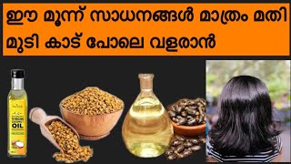 മുടി നല്ല തിക്ക് ആയിട്ട് ഭ്രാന്ത് പിടിച്ചപോലെ വളരും ഈ മൂന്നു ചേരുവകൾ മാത്രം മതി|@thathus world|