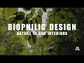 Biophilic design: Nature in our interiors