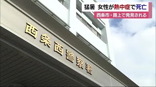 西条の道路で倒れている女性発見　熱中症で死亡　警戒アラートも　最高気温３５．５度に【愛媛】 (24/07/29 18:53)