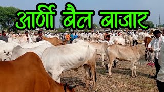 आर्णी बैल बाजार || 🐂🐂🐂 बैल बाजार ||अन्नदाता शेतकरी मित्र