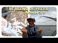 PESCA ACTUAL! SE LLENO DE PECES! APARECIERON CARDUMENES EN LA COSTA 5/8