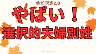 「選択的夫婦別姓制度」やばい!_20250114