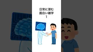 【明日から使える】日常に潜む面白い雑学1#雑学#日常#面白い