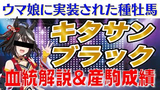 【ウマ娘】種牡馬キタサンブラックってどんな馬？血統解説＆産駒成績から馬券に役立つデータまでご紹介します‼️【競馬ファン\u0026馬主必見】