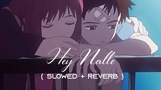 Hey Nalle ( Slowed + Reverb ) Arfaz Ullal | Slow Beat Music