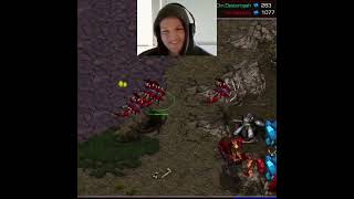 Guardians Mutas Devourers ARGH!!! | Starcraft Broodwar Remastered #shorts