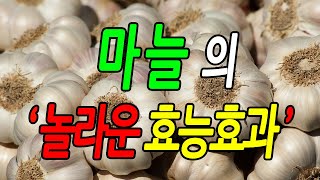 [효능백과사전] 마늘 효능, 마늘 놀라운 효능효과 꼭 알아야 할 7가지 정보, 먹는방법, 문헌정보, 뉴스 자료, 실제사례