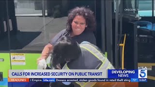 Calls for increased security on public transit