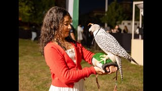 The UAE 52nd Union Day Celebrations at the Villa