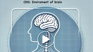 CNS S2 L2 Environment of brain