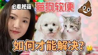 貓狗軟便拉肚子究竟如何解決！？八大原因逐一分析 | 提高你家萌娃的消化功能｜腸胃炎IBD貓媽媽親測超實用好物推薦！