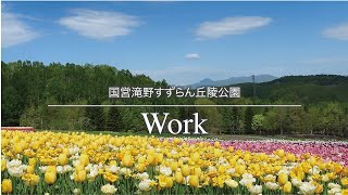 公園の裏側紹介！　グリーンシーズン　国営滝野すずらん丘陵公園