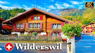 Swiss Village Wilderswil _ Autumn In Switzerland | Walking around picturesque Valley