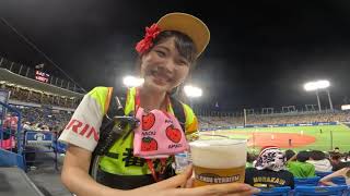 A Fan's Experience, Japan Baseball at Meiji Jingu Stadium, Tokyo (Hanshin Tigers at Yakult Swallows)