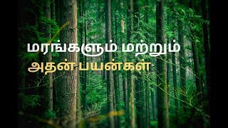 மரங்களும் மற்றும் அதன் பயன்கள் | Marangalum athan payangalum tamil |Trees and uses