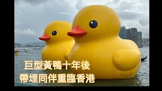 Double Ducks ｜ 橡皮鴨二重暢