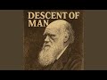 Descent of Man