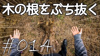 人生で初めて木の根っこをユンボで抜根してみたら.... 【キャンプ場開拓】 #014