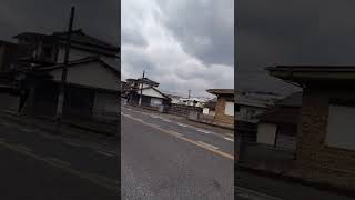 大分県日田市高瀬付近🎵🐤