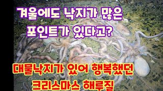 겨울에도 대물낙지가 활동하는 포인트? 잘 보시면 알 수 있어요! korea octopus #안면도해루질#태안해루질#낙지포인트#낙지해루질#낙지꼬시게