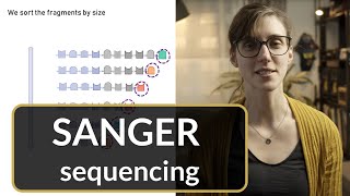 Sanger Technique Explained - 5 STEPS | DNA Sequencing
