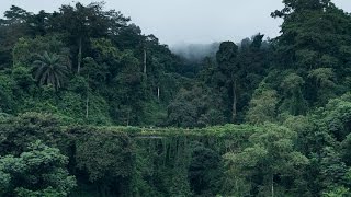 ROADTRIP AROUND BIOKO EQUATORIAL GUINEA