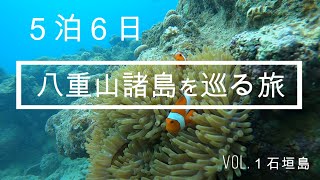 【八重山諸島を巡る旅①】５泊６日女ひとり旅｜名物オニササ｜石垣島ダイビング