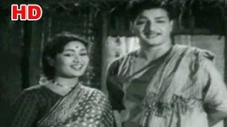 Kutumba Gouravam Movie Songs || Anandale Nindali || NTR || Kannamba || Savitri