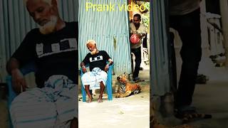 TOP FUNNIEST FAKE TIGER PRANK ON GRANDPA! | SAGOR BHUYAN #prank_video #shorts