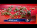 State may put brakes on legalizing marijuana