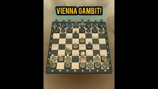 Vin's 8 Moves after 1.e4    gambit trap #chess