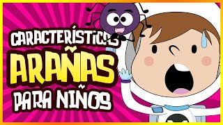 🎇 Características de las ARAÑAS para NIÑOS 😄