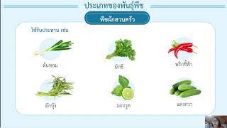 ประเภทของพันธุ์พืช ป.6