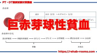 病理学｜貧血③（巨赤芽球性貧血）